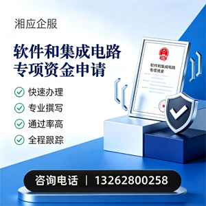 曲靖软件和集成电路专项资金申报服务