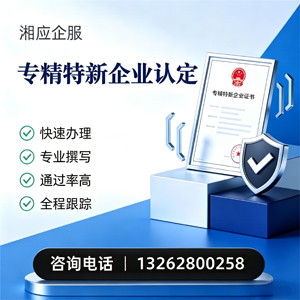 曲靖专精特新企业申报服务