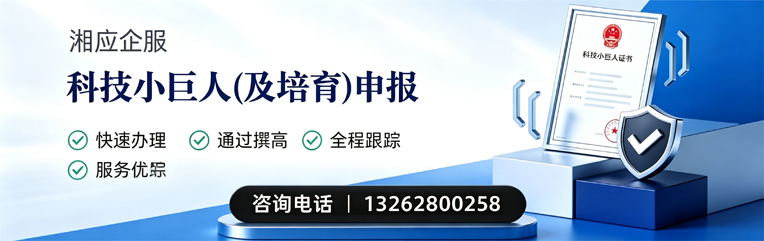 曲靖科技小巨人及培育企业申报服务