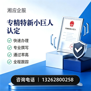 曲靖专精特新小巨人申报服务