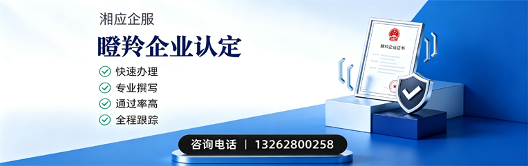 曲靖瞪羚企业认定申报服务