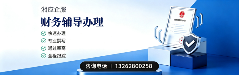 曲靖财务辅导申请服务