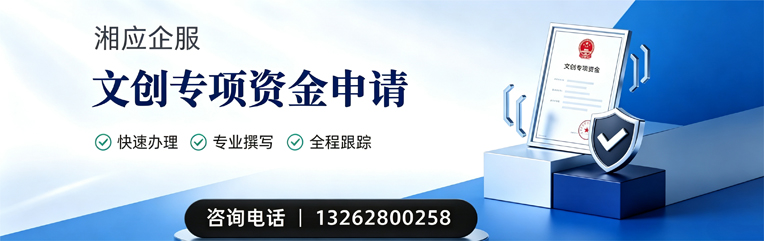 曲靖文创专项资金申报服务