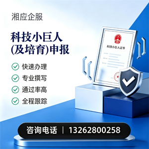 曲靖科技小巨人及培育企业申报服务