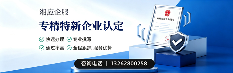曲靖专精特新企业申报服务