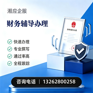 曲靖财务辅导申请服务