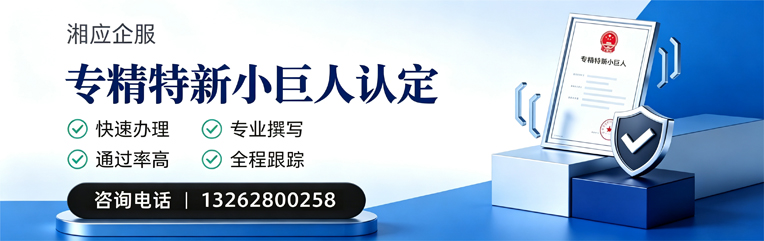 曲靖专精特新小巨人申报服务
